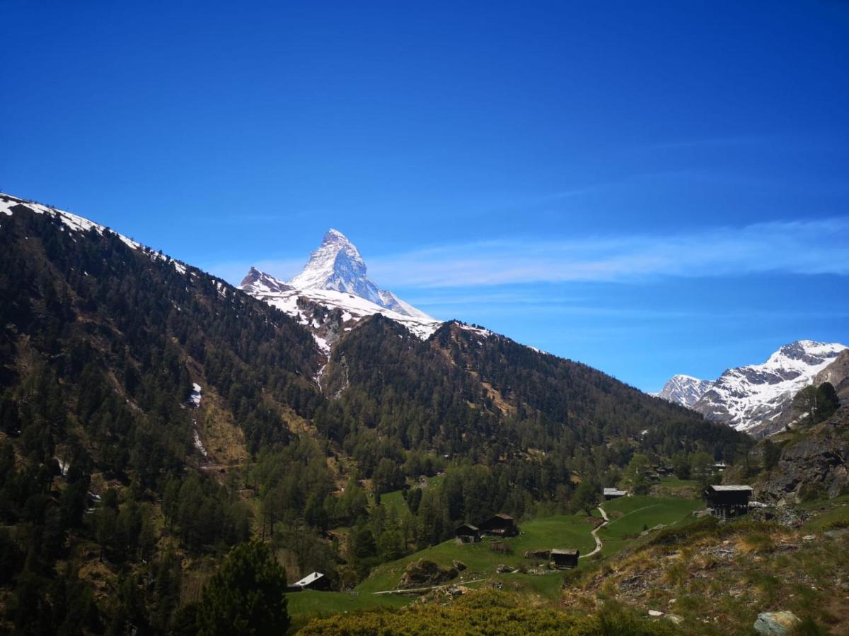 Kirchplatz Lupus & Cervus Appartamento Zermatt